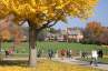 Embassy CES Junior: Long Island University